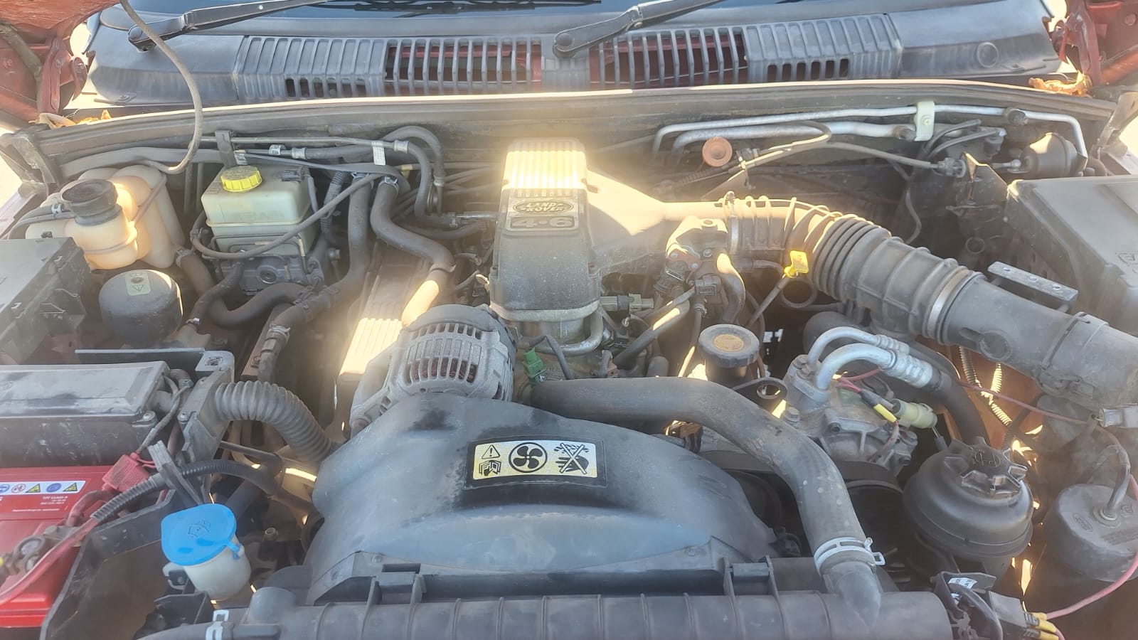 WhatsApp Image 2026-03-28 at 09.28.13 5